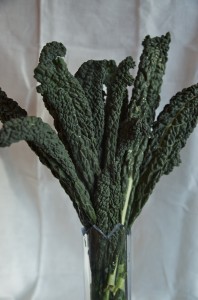 Can you guess why this is also called "Dinosaur Kale?"